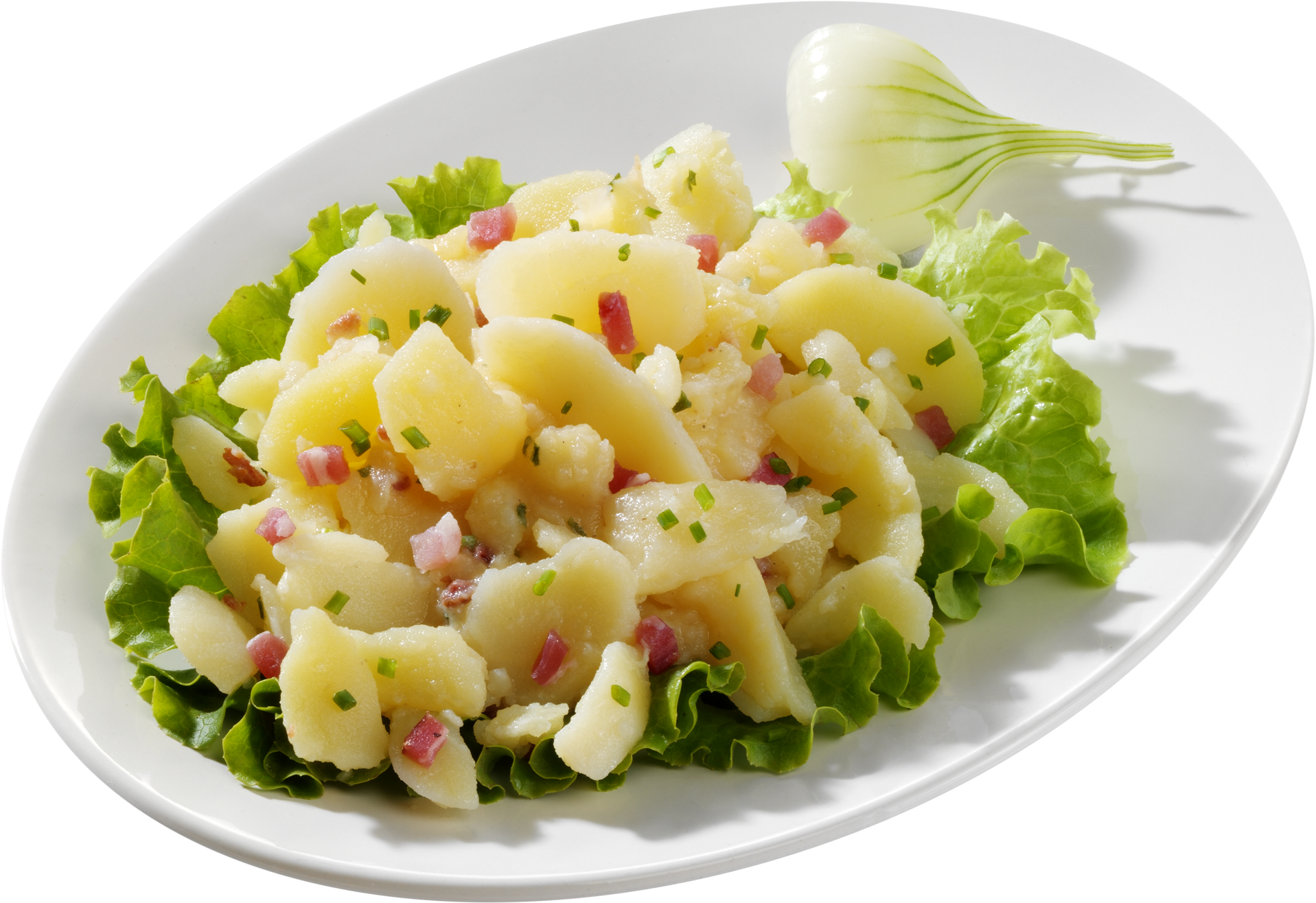 Speck-Kartoffel-Salat